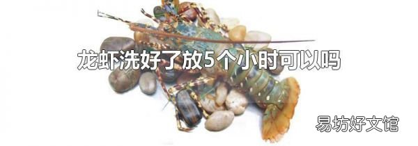 龙虾洗好了放5个小时可以吗