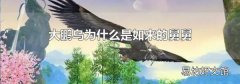 大鹏鸟为什么是如来的舅舅