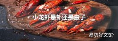 小龙虾是虾还是虫子