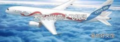 大宝可以带上飞机吗