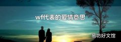 wf代表的爱情意思