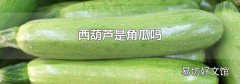 西葫芦是角瓜吗