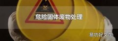 危险固体废物处理