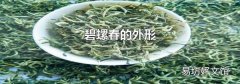 碧螺春的外形