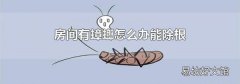 房间有蟑螂怎么办能除根