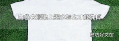 白色衣服染上墨水怎么才能洗掉