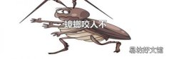 蟑螂咬人不