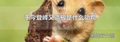 于今登峰又造极是什么动物