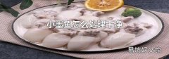小墨鱼怎么处理干净