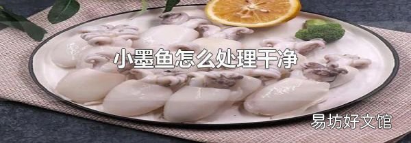 小墨鱼怎么处理干净