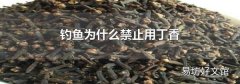 钓鱼为什么禁止用丁香