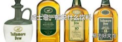 威士忌一般兑什么饮料