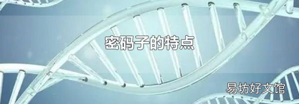 密码子的特点