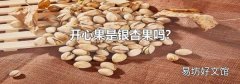 开心果是银杏果吗?