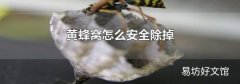 黄蜂窝怎么安全除掉