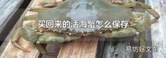 买回来的活海蟹怎么保存