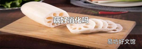 藕好消化吗