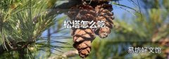 松塔怎么吃