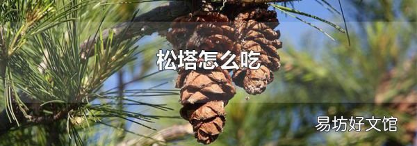 松塔怎么吃