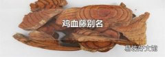 鸡血藤别名
