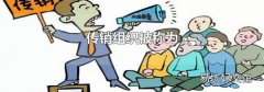 传销组织被称为