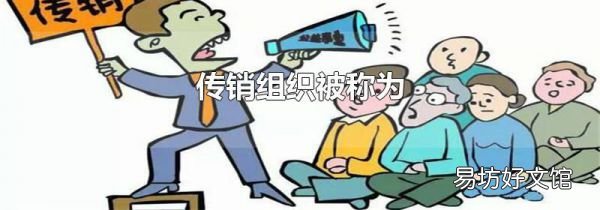 传销组织被称为