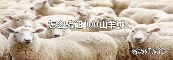 怎么验证100山羊绒