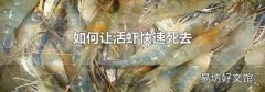 如何让活虾快速死去