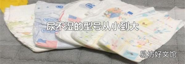 尿不湿的型号从小到大