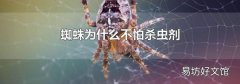 蜘蛛为什么不怕杀虫剂