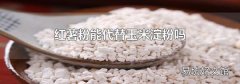 红薯粉能代替玉米淀粉吗