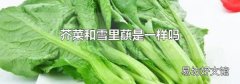 芥菜和雪里蕻是一样吗