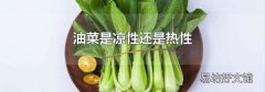 油菜是凉性还是热性