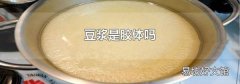 豆浆是胶体吗