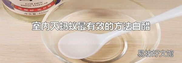 室内灭蚂蚁最有效的方法白醋