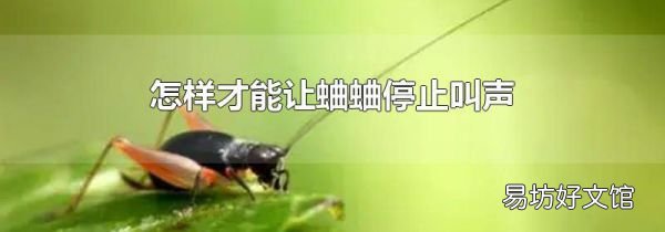 怎样才能让蛐蛐停止叫声
