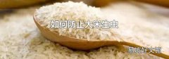 如何防止大米生虫