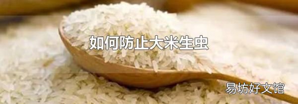 如何防止大米生蟲