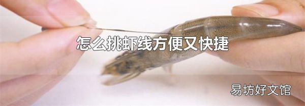 怎么挑虾线方便又快捷