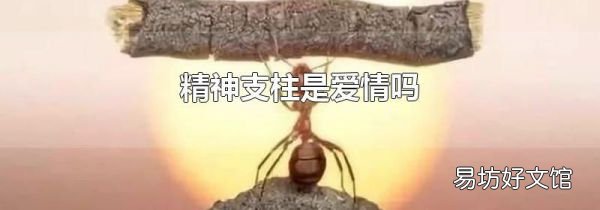 精神支柱是爱情吗