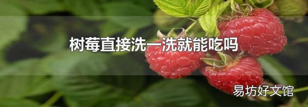 树莓直接洗一洗就能吃吗