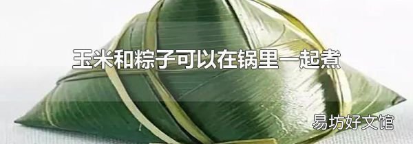 玉米和粽子可以在锅里一起煮吗