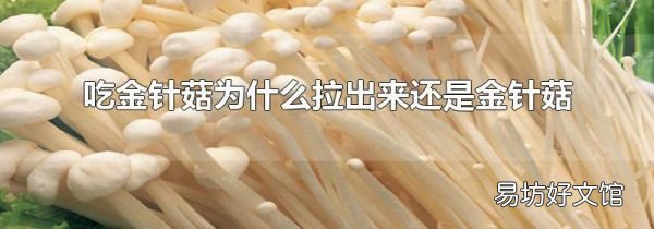 吃金针菇为什么拉出来还是金针菇