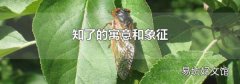 知了的寓意和象征