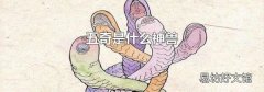 五奇是什么神兽
