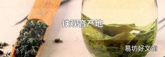 铁观音产地
