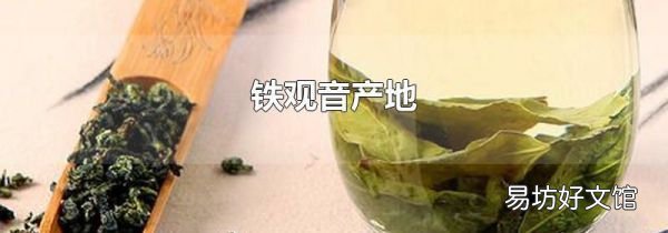 铁观音产地