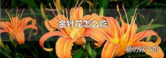金针花怎么吃
