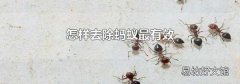 怎样去除蚂蚁最有效