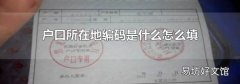 户口所在地编码是什么怎么填